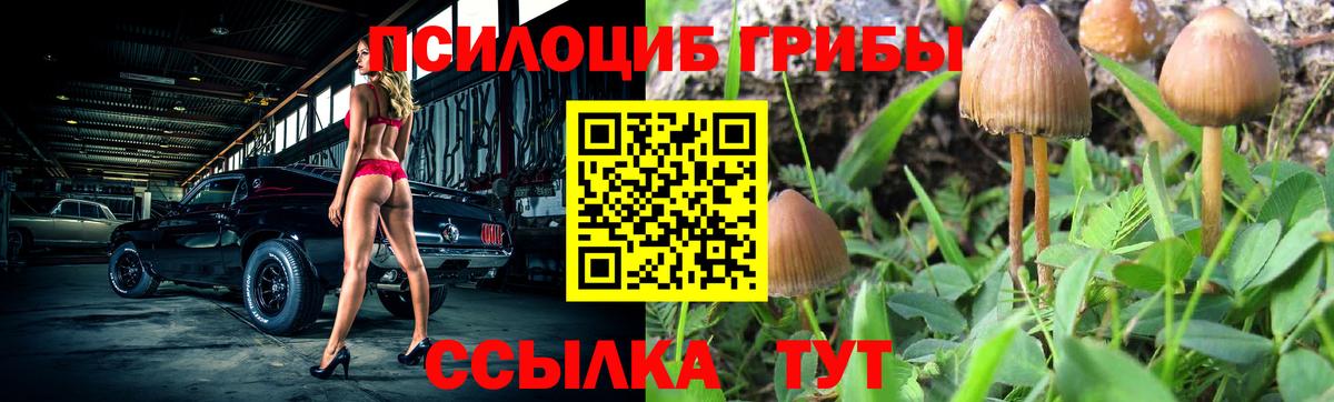 Дедовск  Галлюциногенные грибы мицелий  Псилоцибиновые грибы Psilocybine cubensis  Вход с VPN 